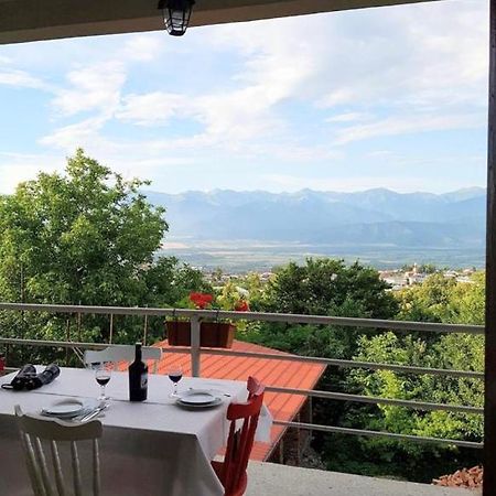 Omsi House Hotel Telavi Kültér fotó