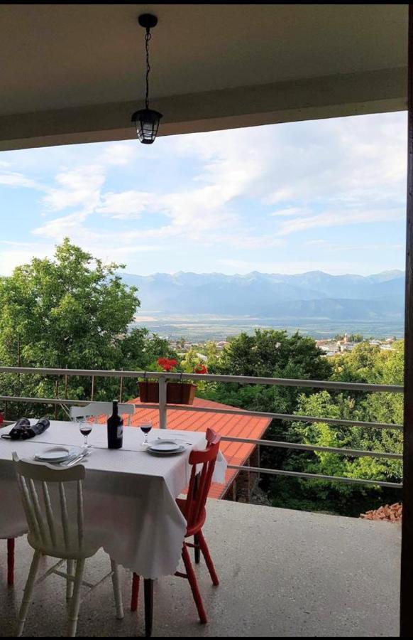 Omsi House Hotel Telavi Kültér fotó