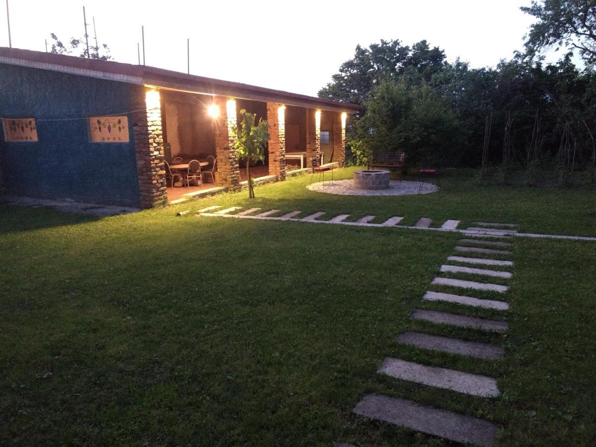 Omsi House Hotel Telavi Kültér fotó