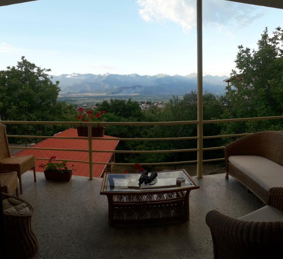 Omsi House Hotel Telavi Kültér fotó